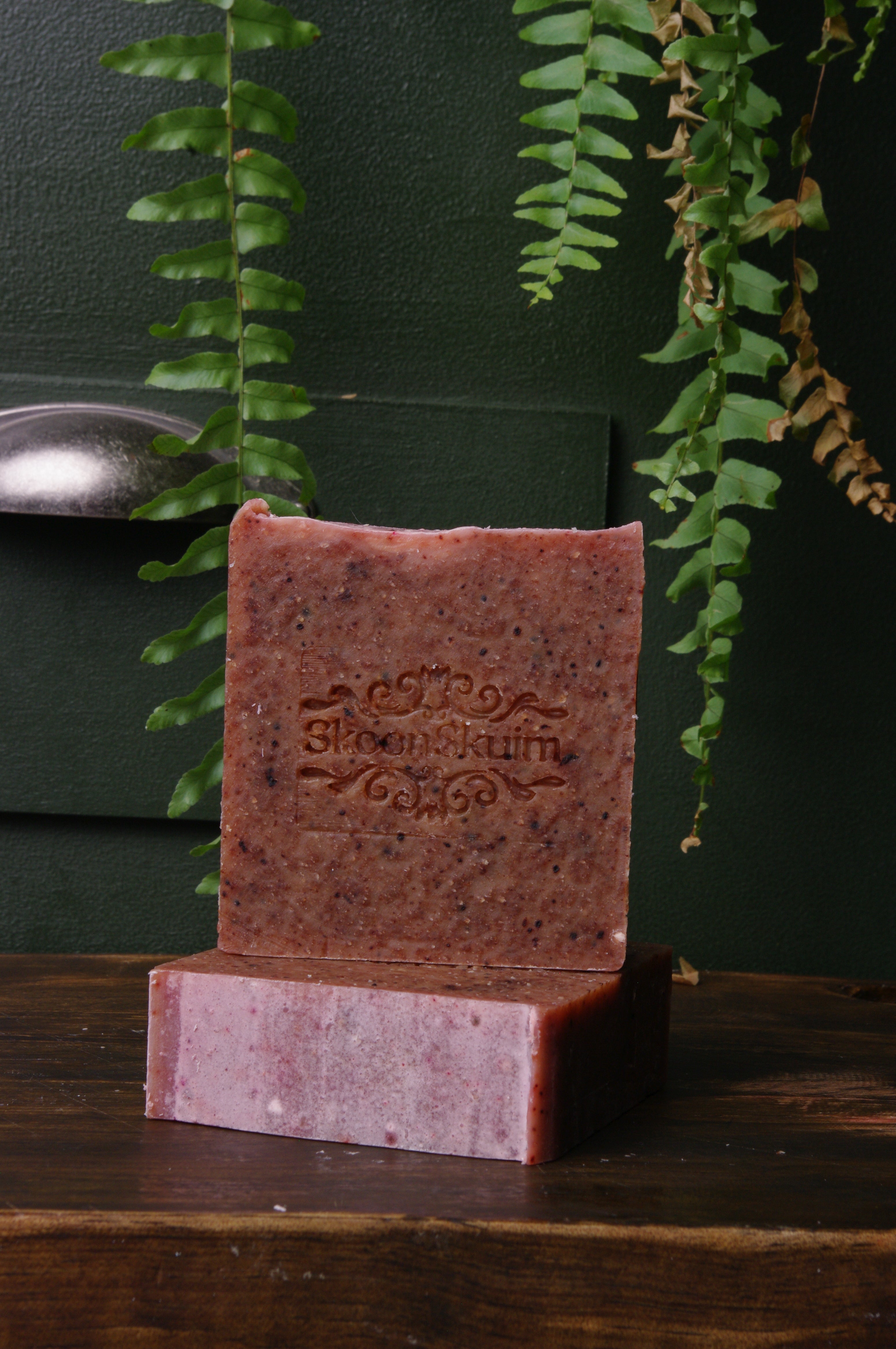 Rhubarb